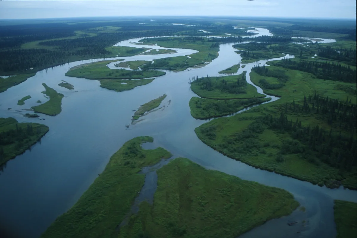 Aerial photograph of the braided channels of the Alagnak Wild River winding through green tundra and boreal forest in southwest Alaska.