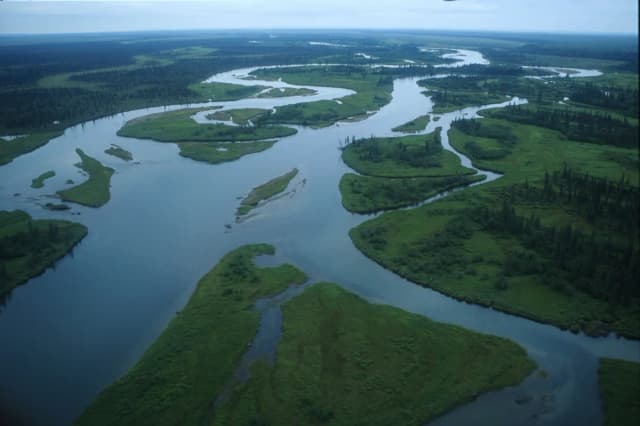 Aerial photograph of the braided channels of the Alagnak Wild River winding through green tundra and boreal forest in southwest Alaska.