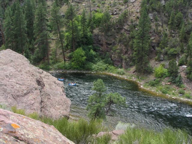 The Green River tailwater flowing through a pine-forested canyon below Flaming Gorge Dam, with rafters on the water.