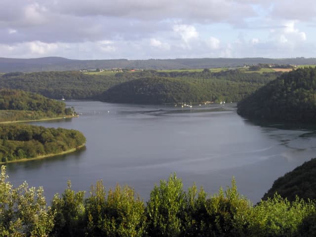 Photo of Aulne