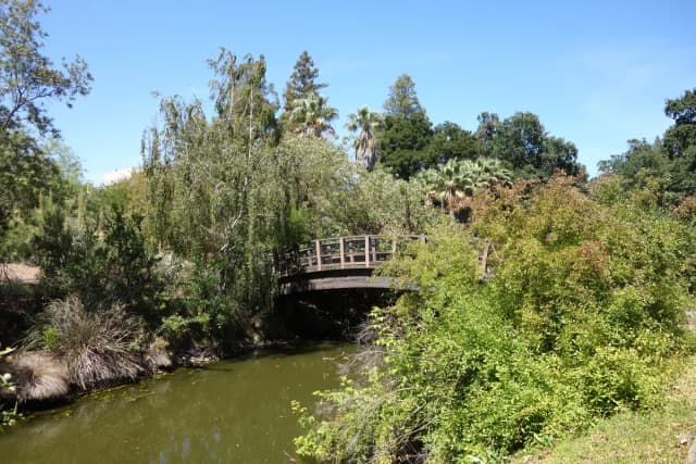 Putah Creek — Putah Creek - University of California, Davis - DSC03403