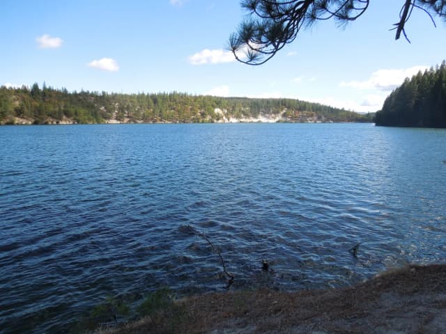 Lake Britton with pine-forested shoreline, Shasta County, California