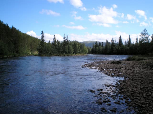 Trysilelva — Trysilelva-2007