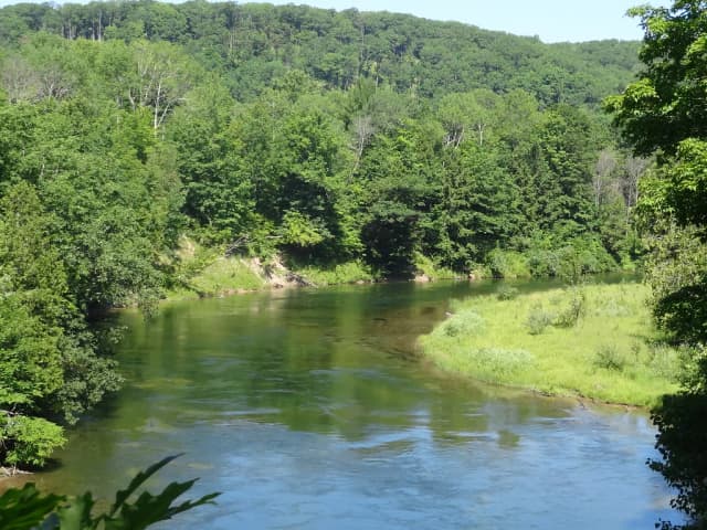 The Manistee River curving through dense forest with a grassy bank, Michigan.