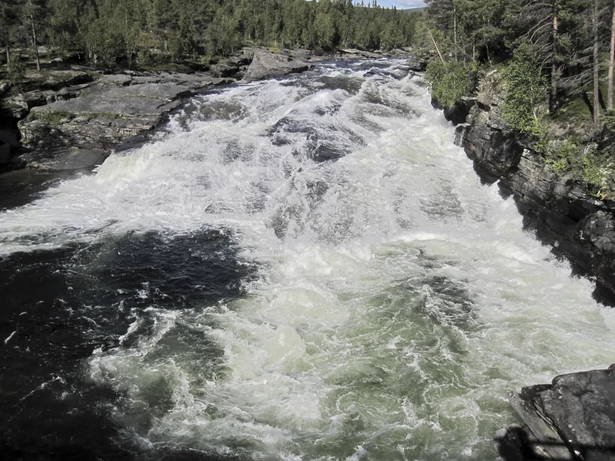 Powerful white-water rapids crashing over rocks on the Vindelälven river at Ammarnäs in Swedish Lapland, framed by boreal forest.