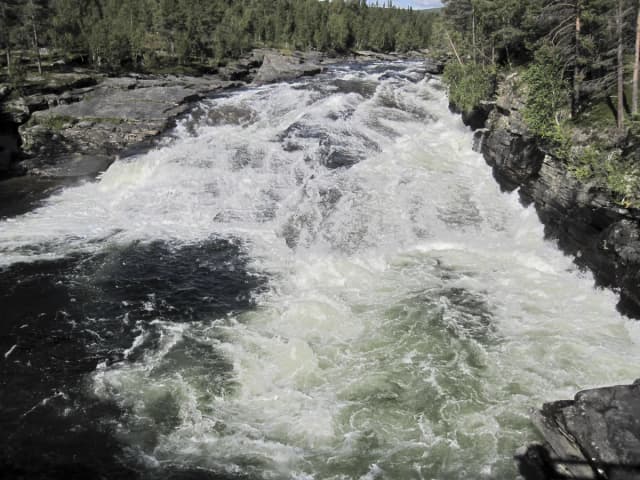 Powerful white-water rapids crashing over rocks on the Vindelälven river at Ammarnäs in Swedish Lapland, framed by boreal forest.