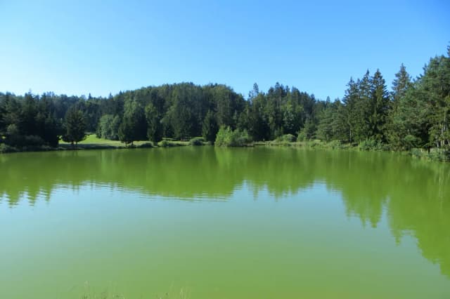 Bloško jezero — Lake Bloke