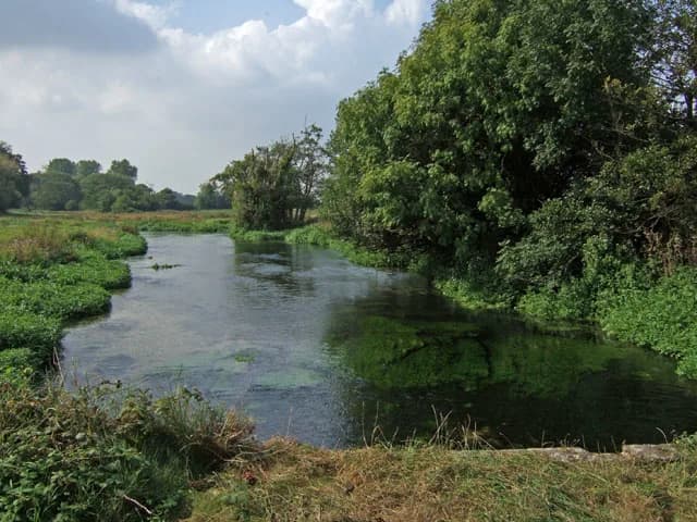 The River Frome, a chalk stream, flowing through water meadows west of Dorchester, Dorset.
