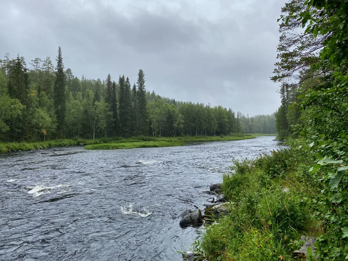 The Kuusinkijoki river flowing through boreal forest near Ruka, Kuusamo, Finland