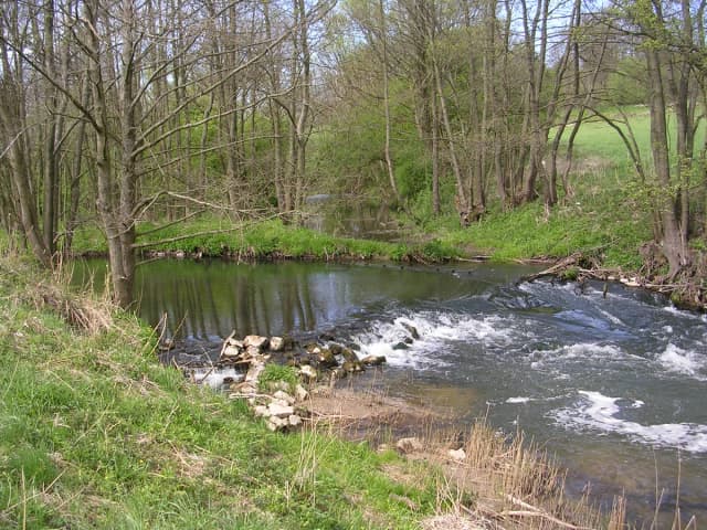Photo of Radunia