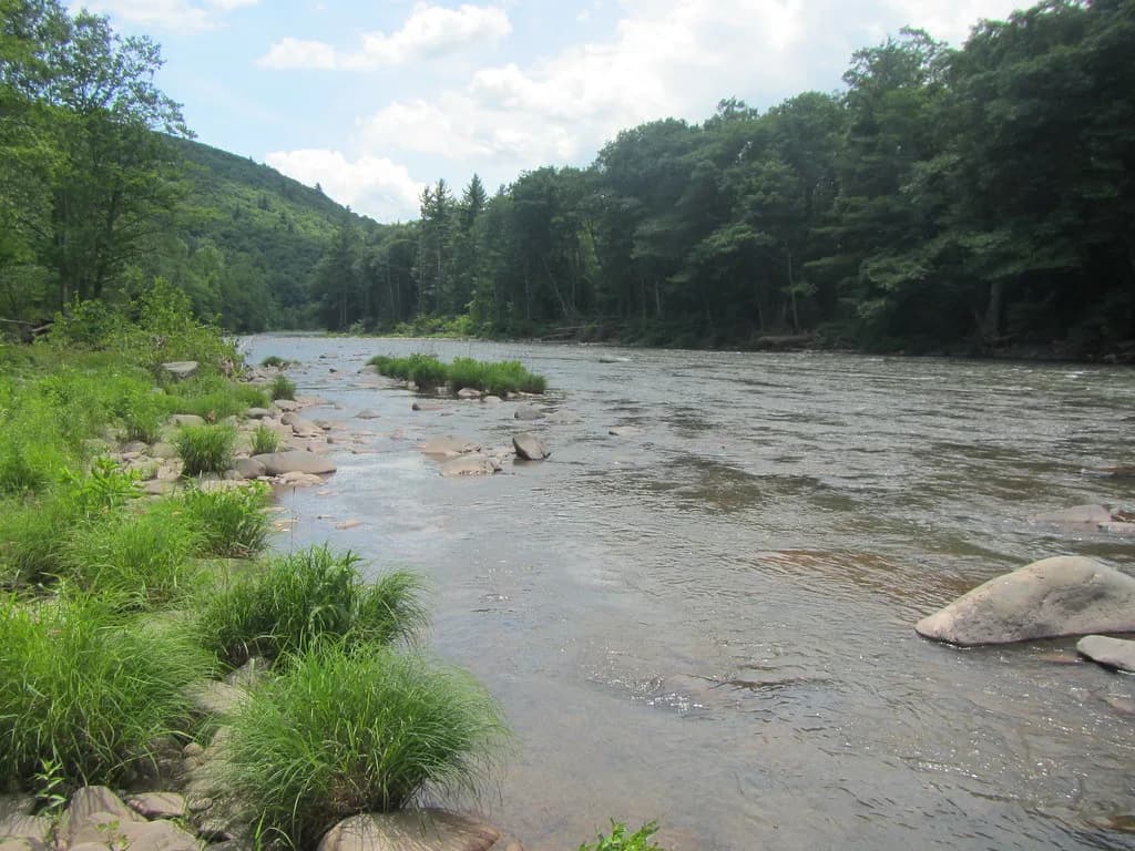Esopus Creek flowing over a rocky streambed with forested mountains in the background, Catskills, New York.