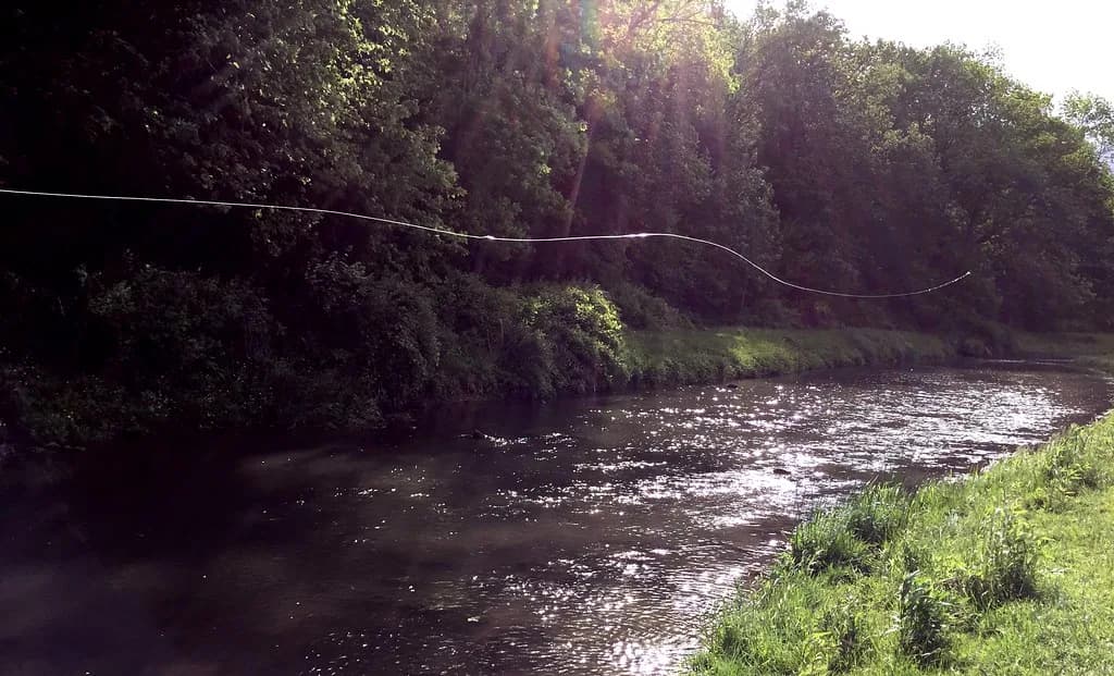 A fly fishing line stretched over Castle Rock Creek in the Wisconsin driftless area, backlit by evening sun through streamside trees.