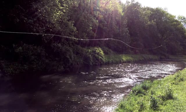 A fly fishing line stretched over Castle Rock Creek in the Wisconsin driftless area, backlit by evening sun through streamside trees.