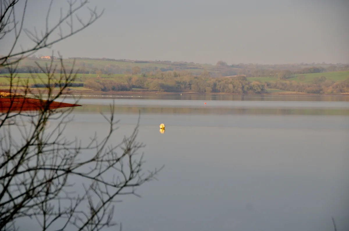 Wide view across the still water of Roadford Lake reservoir in West Devon, with green fields and trees along the shoreline.