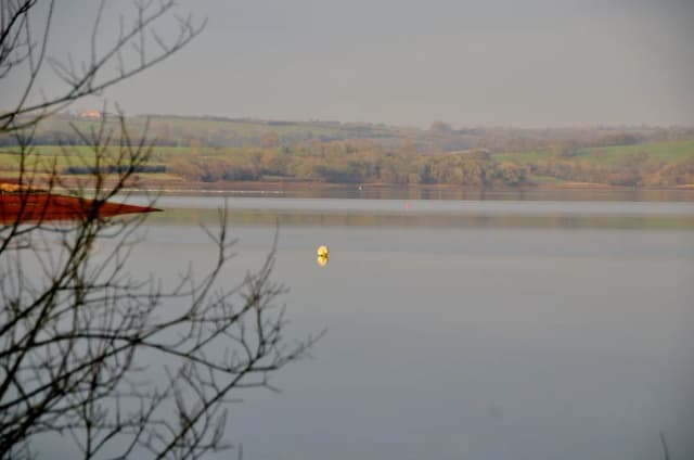 Wide view across the still water of Roadford Lake reservoir in West Devon, with green fields and trees along the shoreline.