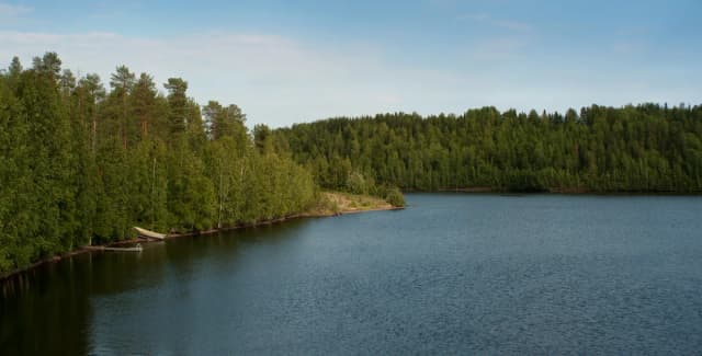 Wide view of the Kemijoki river flanked by boreal forest near Vanttauskoski, Rovaniemi, Finland