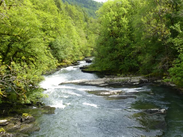 The Doubs river winding through a wooded limestone gorge near the Saut du Doubs on the Swiss-French border.