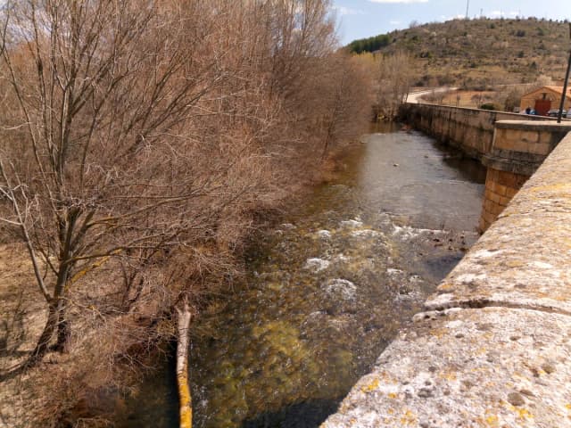 Río Arlanza — Río Arlanza a su paso por Covarrubias