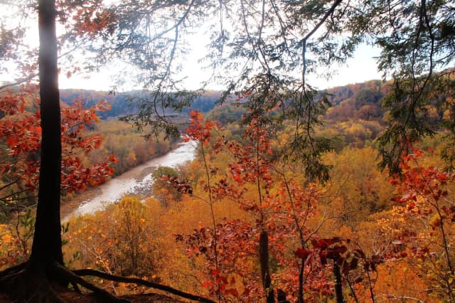 An overlook view of Cattaraugus Creek winding through the forested Zoar Valley gorge in New York, framed by autumn foliage.