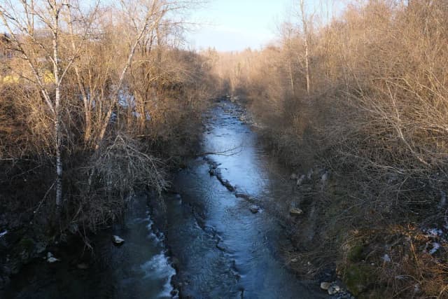 A clear rocky-bedded stream, the Filliere river, flowing between bare winter trees near Les Ollieres, Haute-Savoie, France.