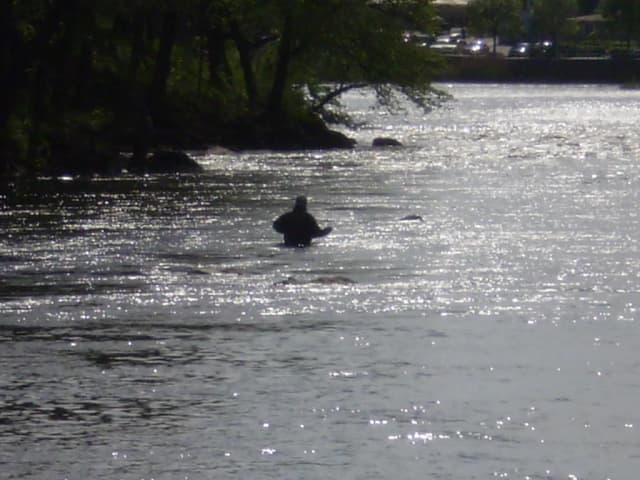 A silhouetted angler wading waist-deep in a wide, sunlit river beneath overhanging trees.