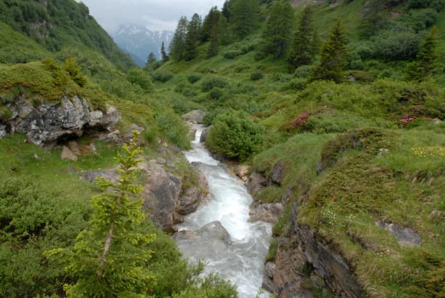 Valais Alpine Streams — Stream above Binn VS