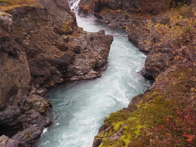 Turquoise glacial river water rushing through a narrow basalt rock gorge lined with autumn foliage.