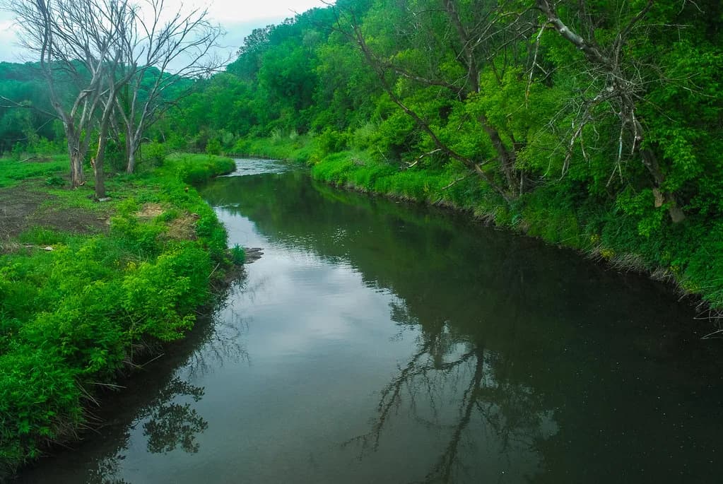 A calm, tree-lined stretch of the Blue River flowing through the driftless area of Grant County, Wisconsin.