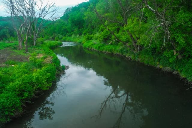 A calm, tree-lined stretch of the Blue River flowing through the driftless area of Grant County, Wisconsin.