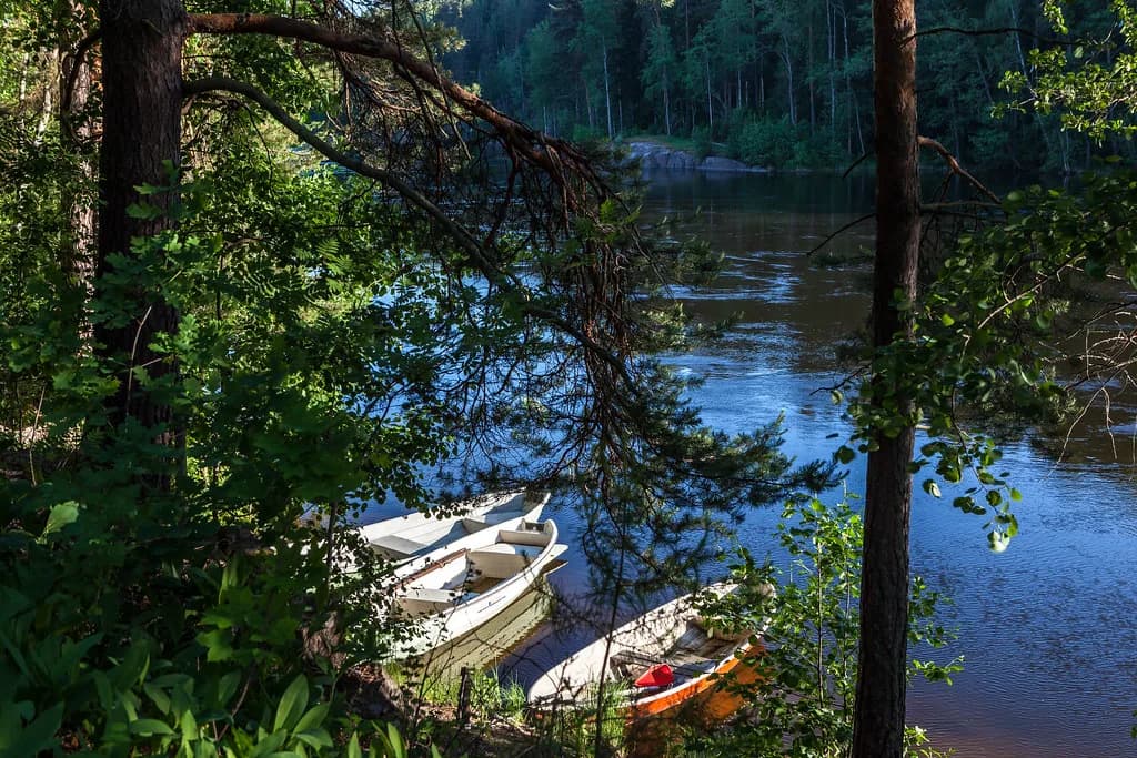 Small rowing boats tied up on a quiet, forested bend of the Kymijoki river in Finland, sunlight filtering through pine trees.