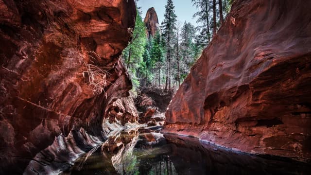 Oak Creek (Sedona) — Oak Creek - Sedona, United States - Landscape photography