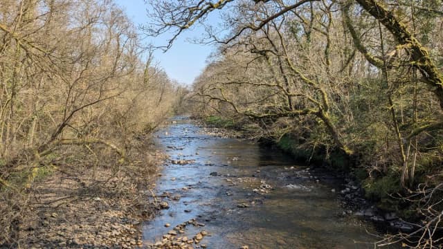 A clear, shallow stretch of the River Amman flowing over a stony riverbed, framed by leafless trees on both banks.