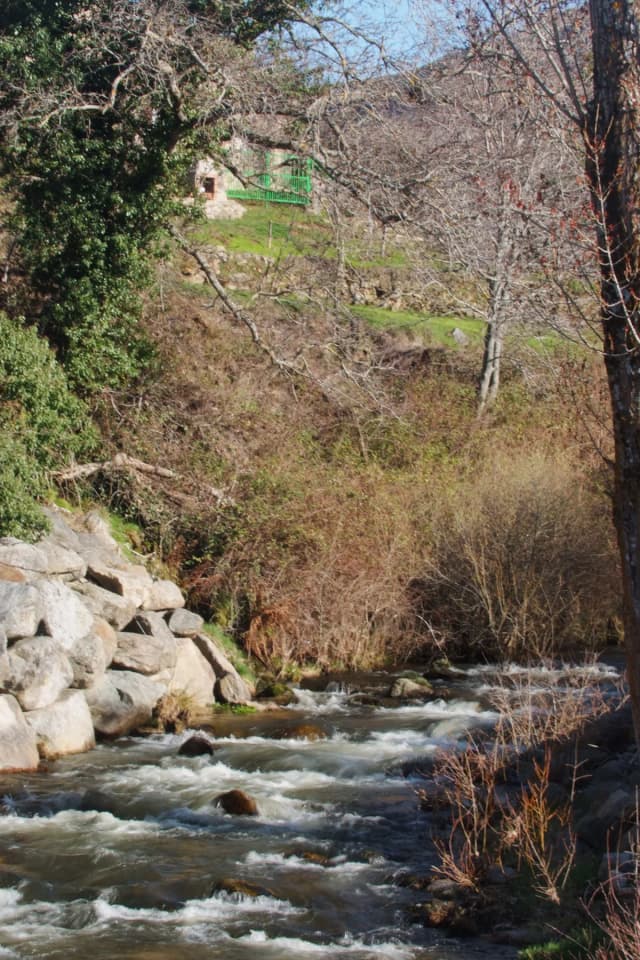 Río Corneja system (research priority) — Río Corneja. Tramo medio a su paso por La Ribera