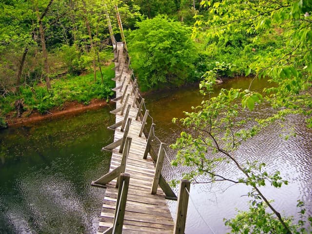 A rustic wooden suspension bridge crossing Big Flat Brook, surrounded by lush green woodland, Sussex County, New Jersey.