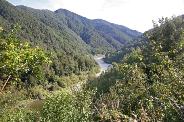Buller River / Kawatiri — 00 1294 Buller River - New Zealand