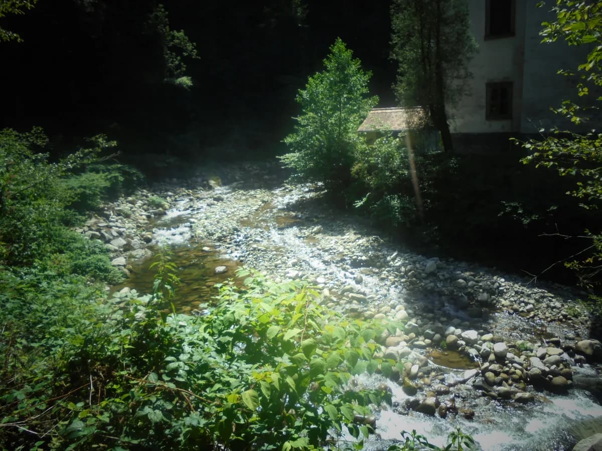 Radoljna — River Radoljna in Puščava