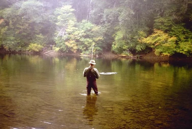 An angler in waders casting a fly rod while standing in the calm, tree-lined Bogachiel River, Washington.