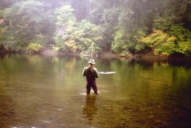 An angler in waders casting a fly rod while standing in the calm, tree-lined Bogachiel River, Washington.