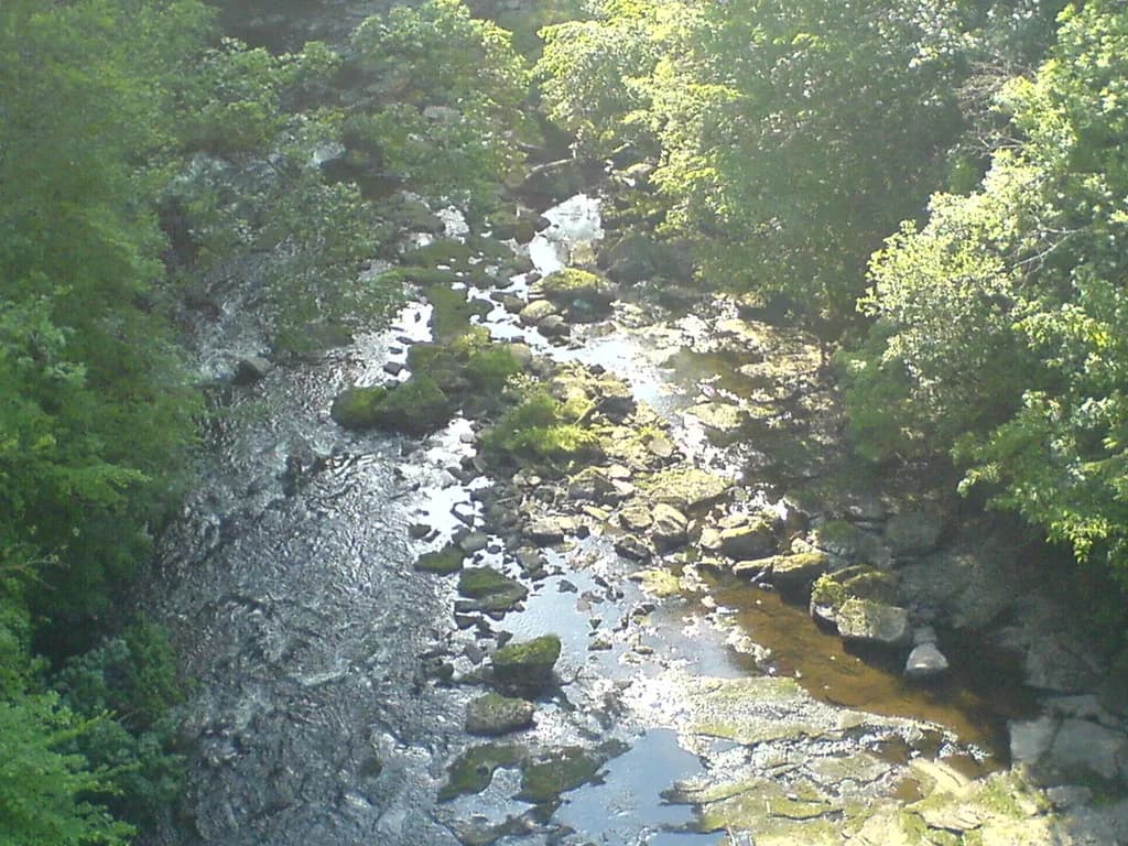 A rocky, tree-lined stretch of the River Avon (Lanarkshire) with shallow water running over boulders.