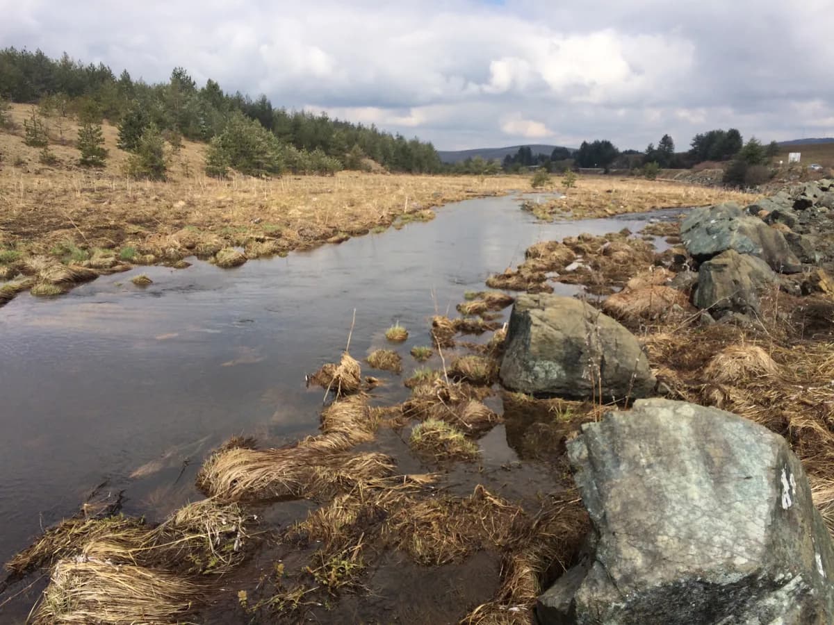 Crni Rzav & Zlatibor streams — Zlatibor Ljubiš IMG 9856 tcrni rsav river 43-664306N 19-707912E