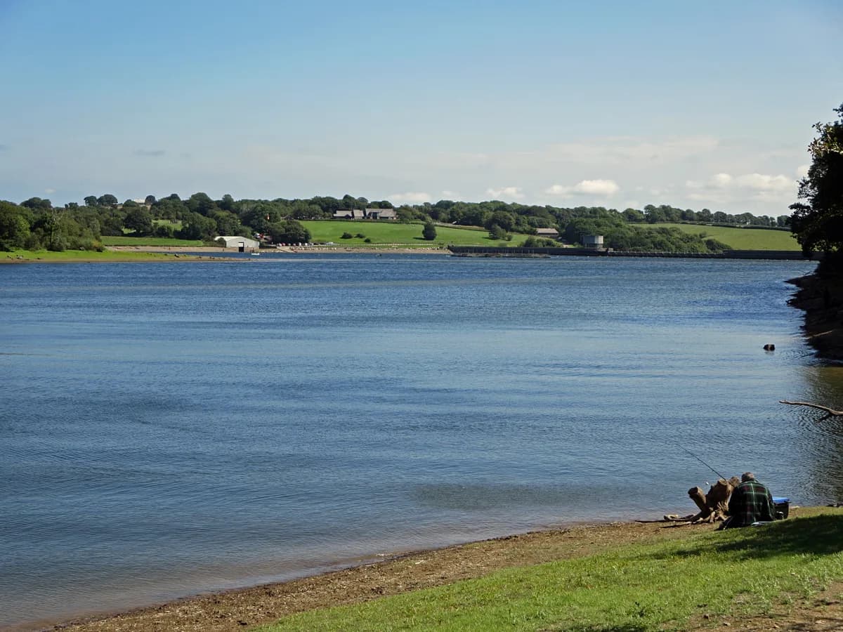 A lone angler sits on the bank of Llys y Fran Reservoir fishing, with calm blue water stretching to the dam and green Pembrokeshire countryside beyond.