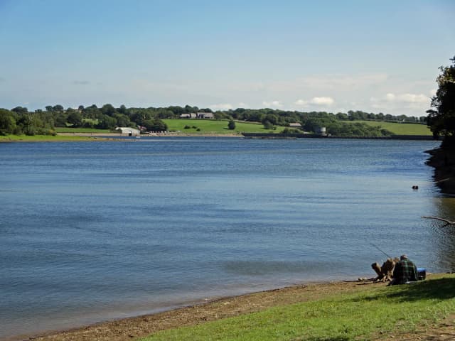 A lone angler sits on the bank of Llys y Fran Reservoir fishing, with calm blue water stretching to the dam and green Pembrokeshire countryside beyond.