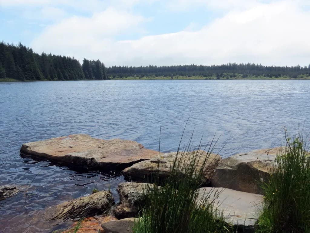 A calm upland lake surrounded by conifer trees, with flat rocks in the foreground on the near shore, under a partly cloudy sky.