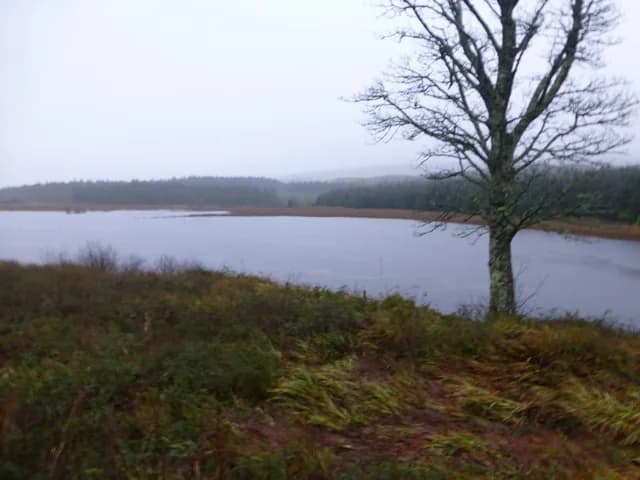 The Clady River flowing through moorland near Gweedore, County Donegal, Ireland.