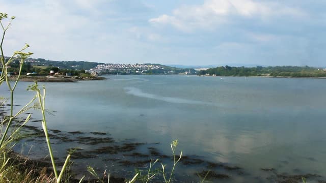Photo of River Plym