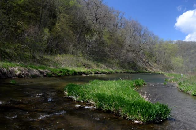 A clear, grass-lined stretch of the Bad Axe River flowing through wooded driftless-area hills in Vernon County, Wisconsin.