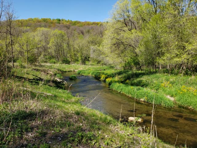 Clear Driftless-region trout stream winding through a wooded valley at Hay Creek, Minnesota