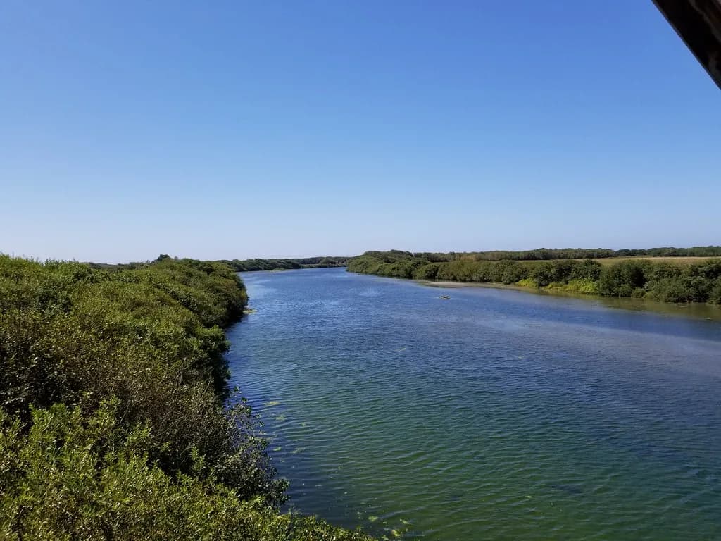 Wide blue-green river viewed from a bridge, flanked by dense coastal shrubs near Arcata, California.