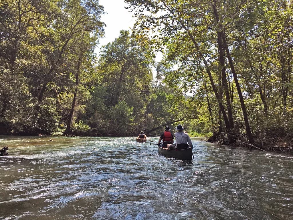 Two canoes with paddlers moving down the clear, forested Eleven Point River in the Missouri Ozarks.