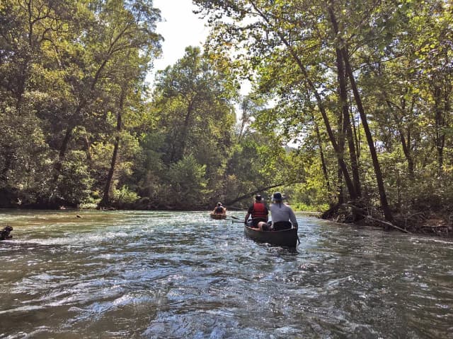 Two canoes with paddlers moving down the clear, forested Eleven Point River in the Missouri Ozarks.